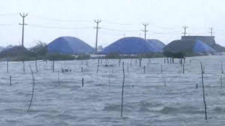Cyclone Ditwah triggers heavy rain and red alerts across Tamil Nadu, Chennai, Puducherry and Andhra Pradesh