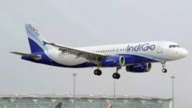 Aviation regulator issues showcause notice to IndiGo CEO over large scale disruptions that caused passenger hardship