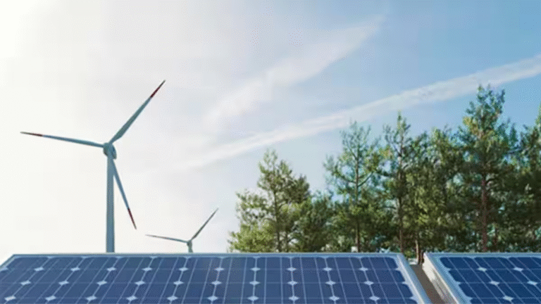 India’s energy transformation from power scarcity to sustainable growth